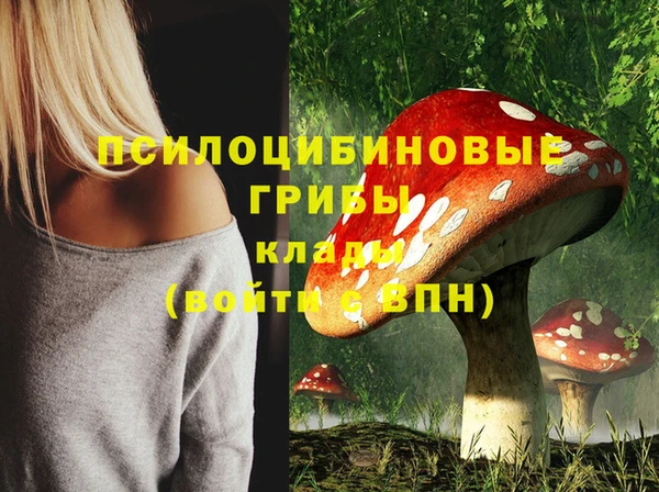 герыч Бердск