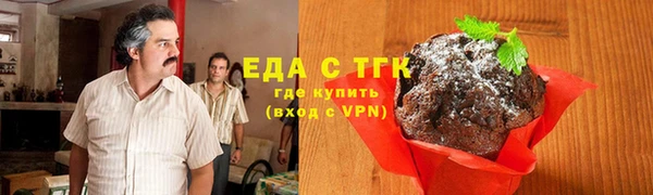 индика Долгопрудный