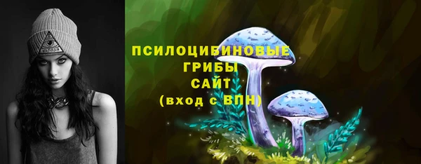 индика Долгопрудный