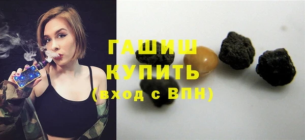 индика Долгопрудный