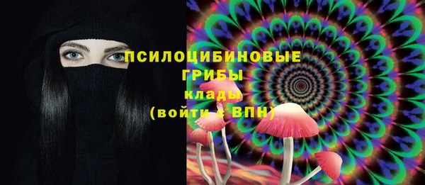 индика Долгопрудный