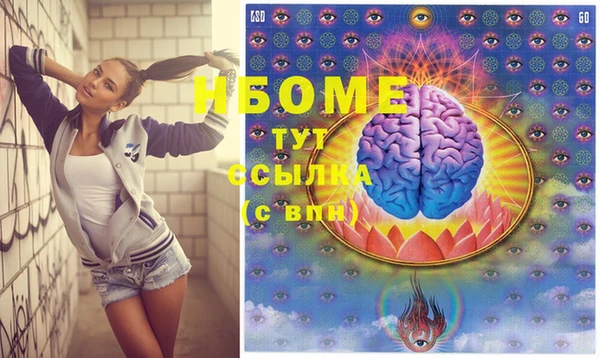 индика Долгопрудный