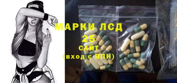 индика Долгопрудный